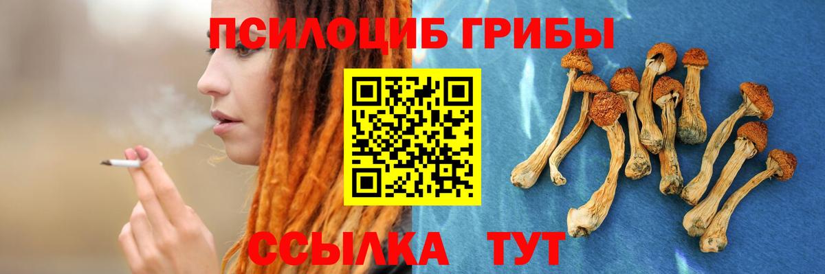 Наро-Фоминск  Галлюциногенные грибы Magic Shrooms  Вход с VPN 